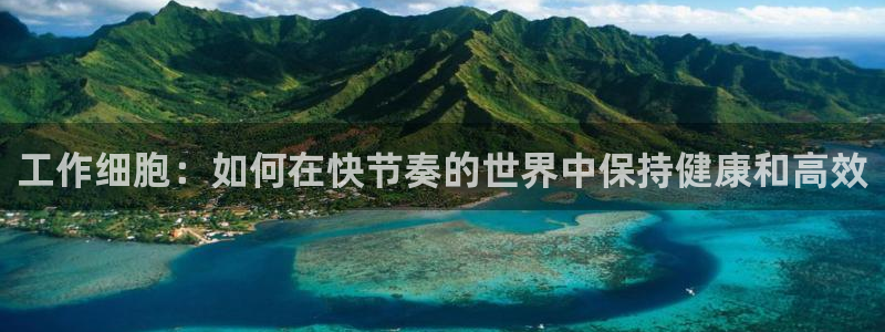 火影忍者漫画风车漫画